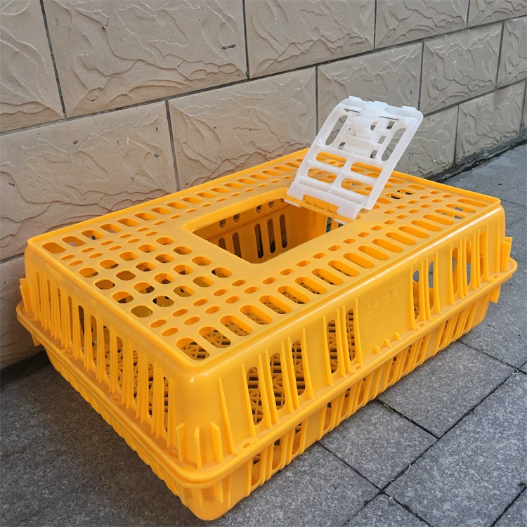 厂家生产广西南宁坚固实用塑料pe材料鸡笼尺寸