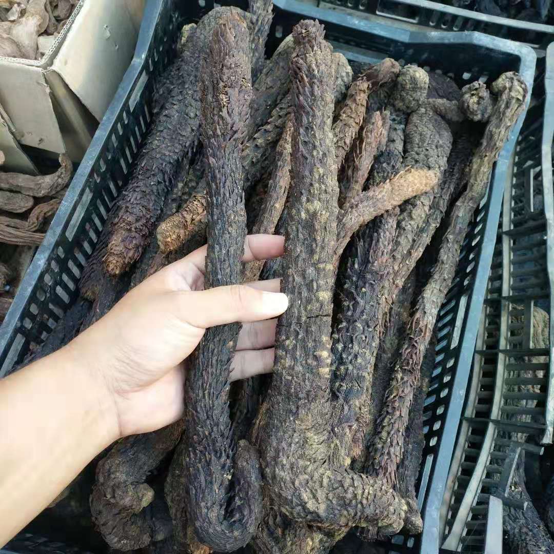 新货新疆大芸肉苁蓉 管花油苁蓉配锁阳 软硬大云片沙漠人参泡酒