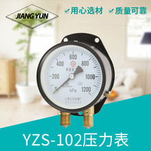 上海江云YZS-102双针双管压力表0-1200KPa铁路机车专用压力表