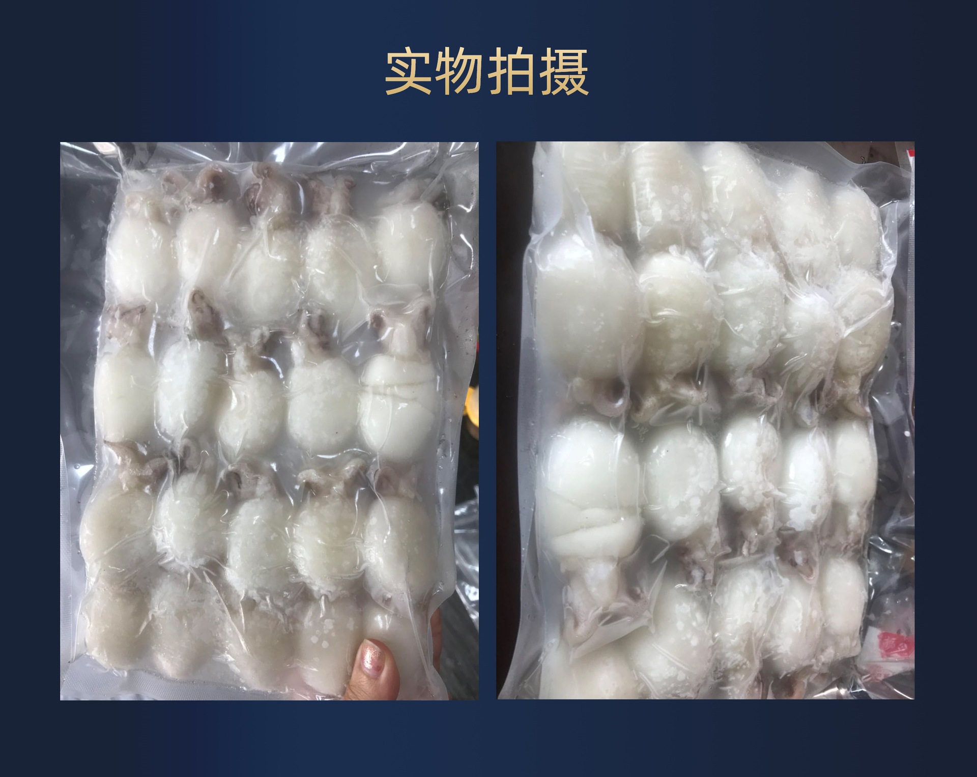 冷冻鲜活小墨鱼海鲜批发水产冻品餐饮生鲜火锅墨鱼仔500g一件代发