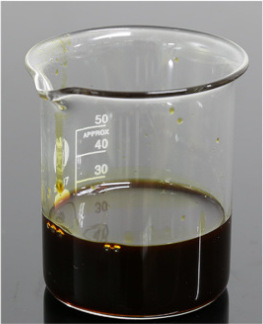 超临界萃取当归油 angelica oil 藁本内酯45% 当归精油挥发油