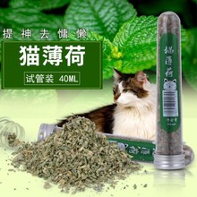 厂家直销猫薄荷叶粉 40ML试管装猫咪用品薄荷草干叶粉猫薄荷叶子