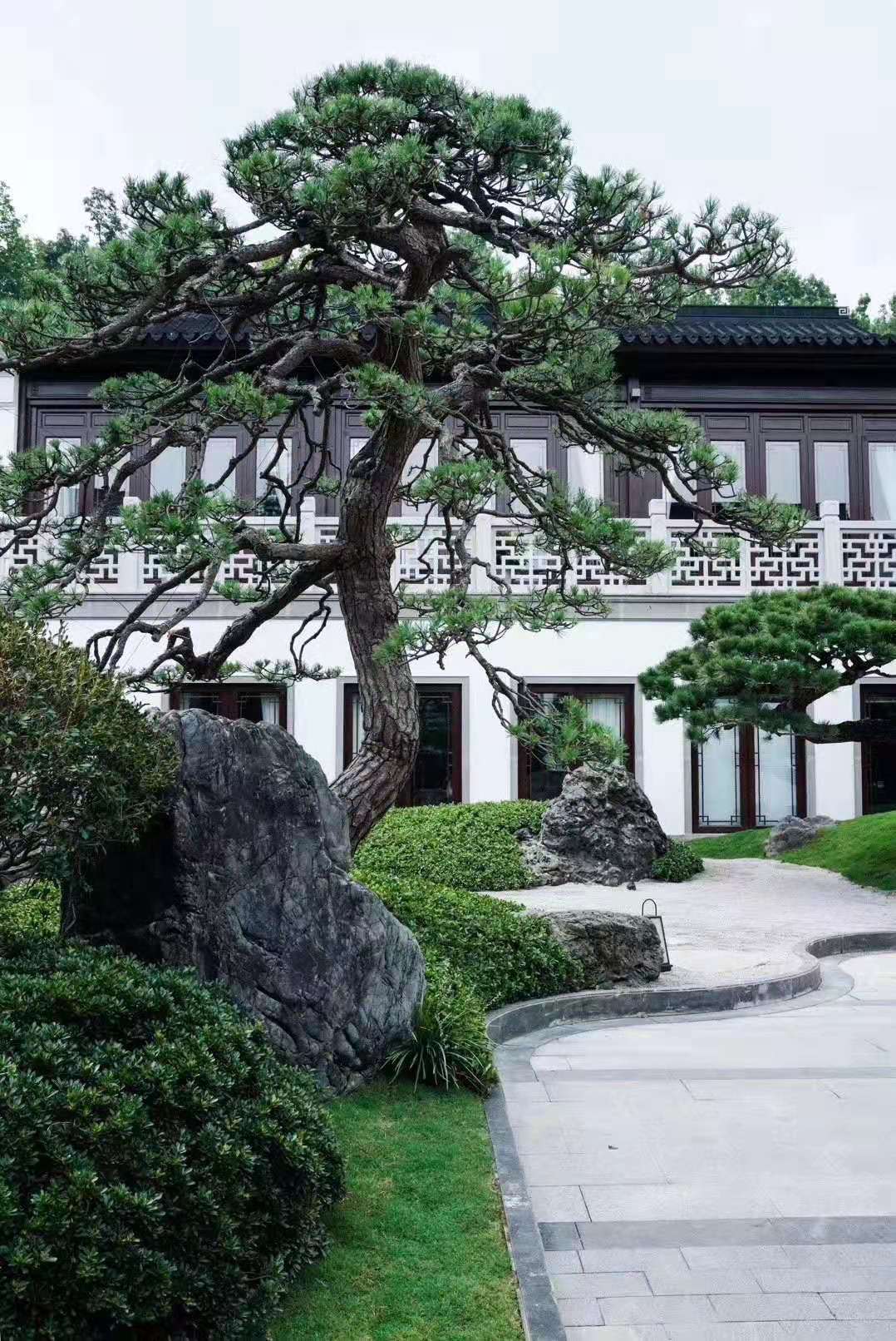 雪浪石切片 园林景观石 泰山石片石 公园庭院点缀置石 景石批发