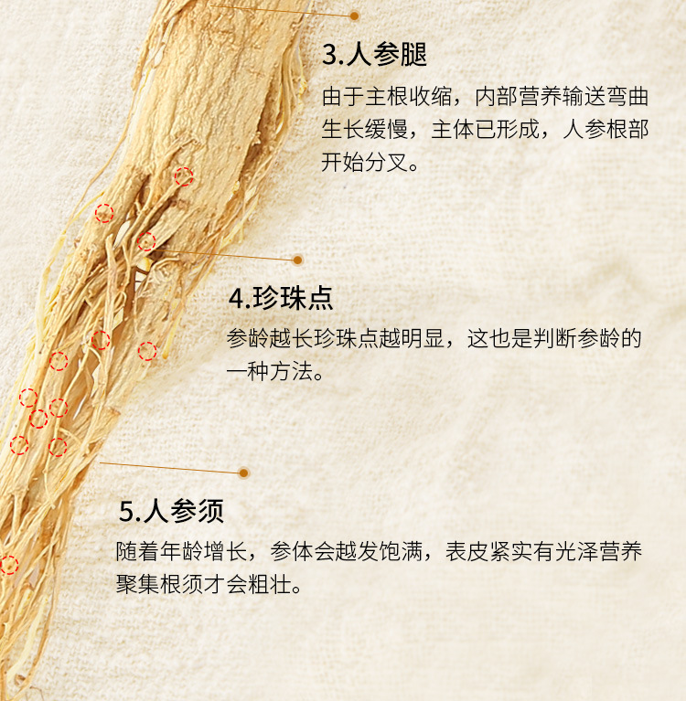 人参年份在4-6年之间不等 .