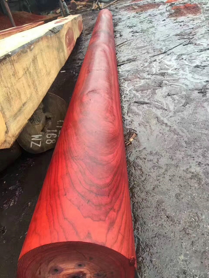 82a574849b2d8862a584c1563c1887