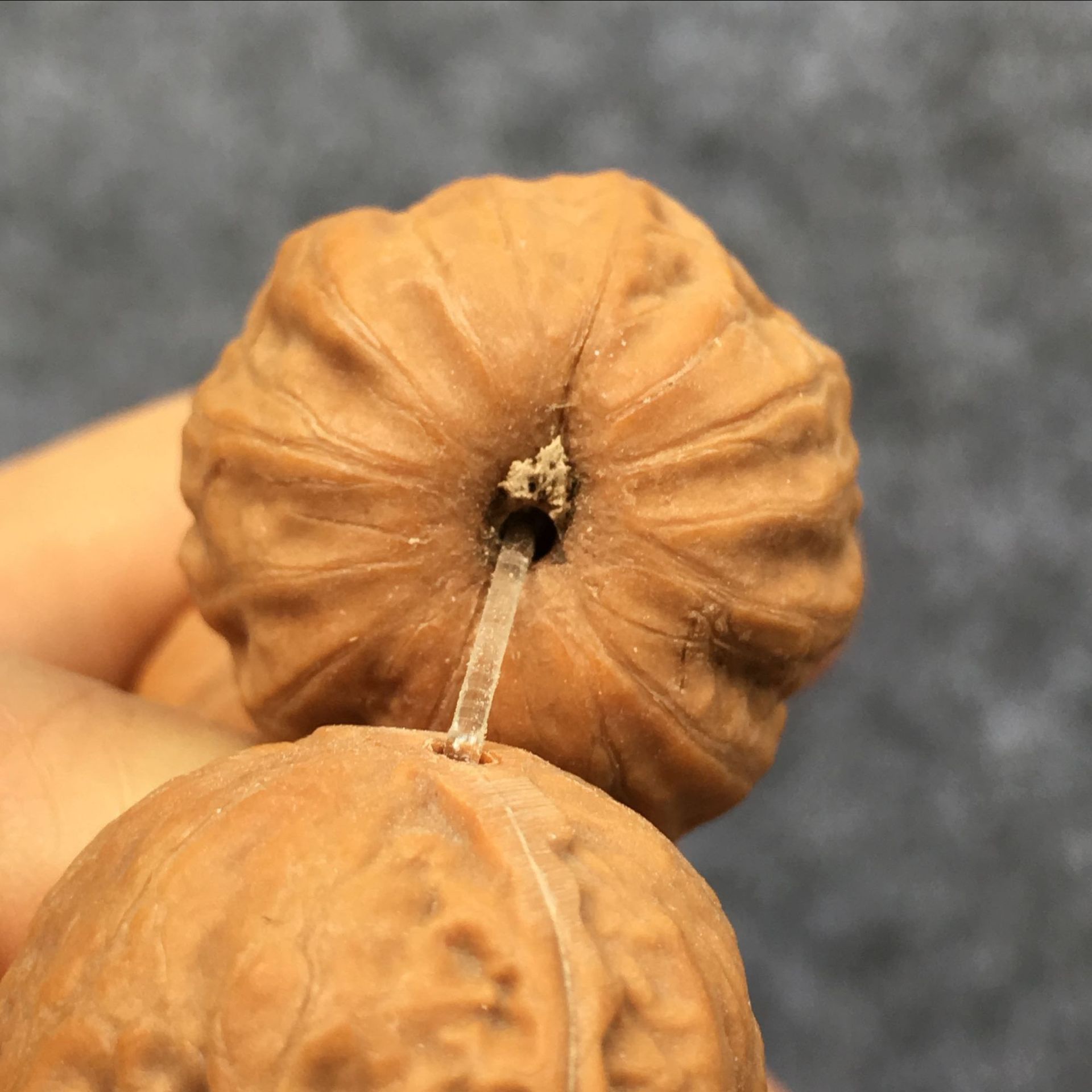 厂家供应原色京八棱门头沟秋子手串核桃文玩野生小山核桃黄皮高密