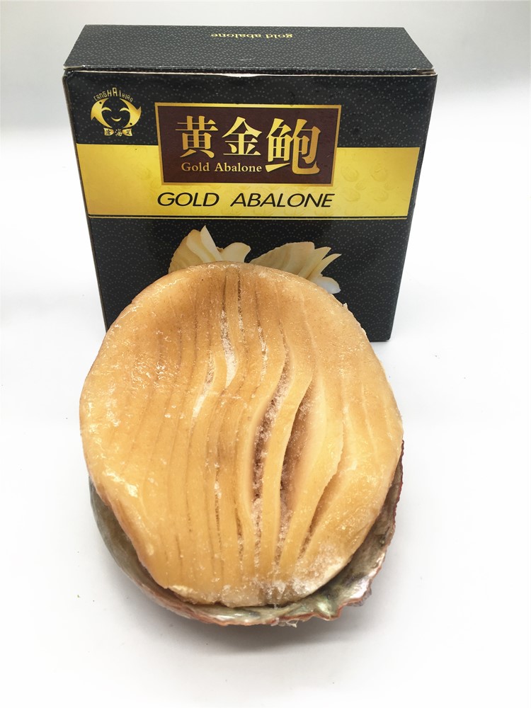 进口海鲜冷冻品黄金鲍贝鲍螺澳鲍刺身高档宴席食材小包装海鲜礼包