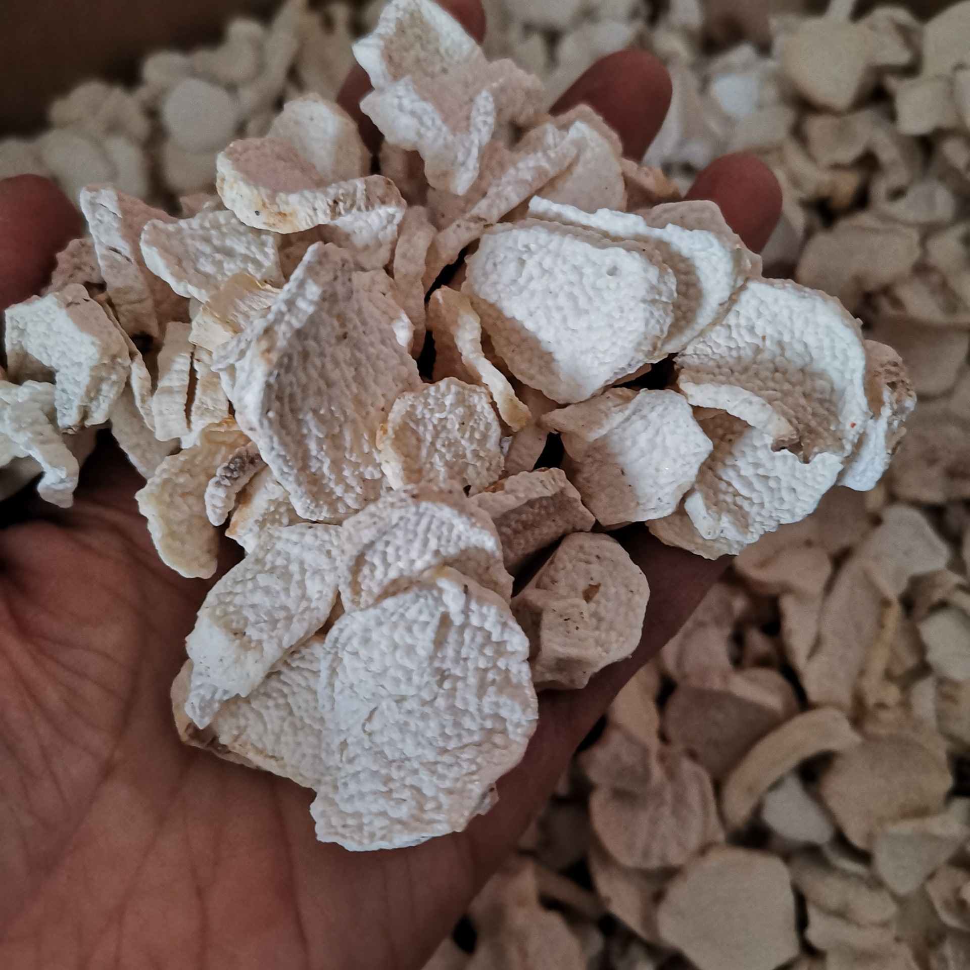 中药材新货山药圆片山药干怀山片淮山药 可打粉 量大从优大货供应