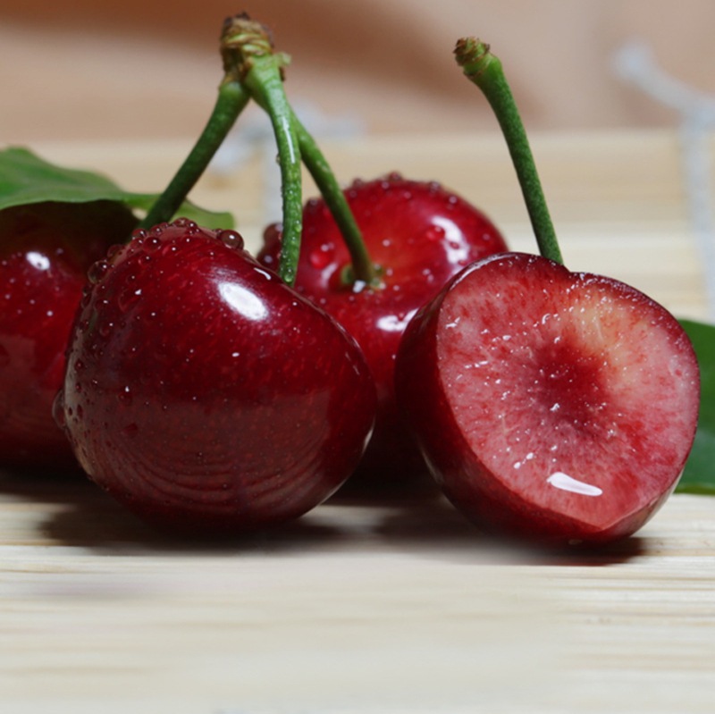 南方产地纯正南方早熟紫樱桃树苗 南方紫珍珠樱桃苗 蜜糖樱桃苗木