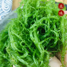 龙须菜 新鲜盐渍海发菜 海藻沙拉原料 火锅 凉拌菜食材批发 包邮