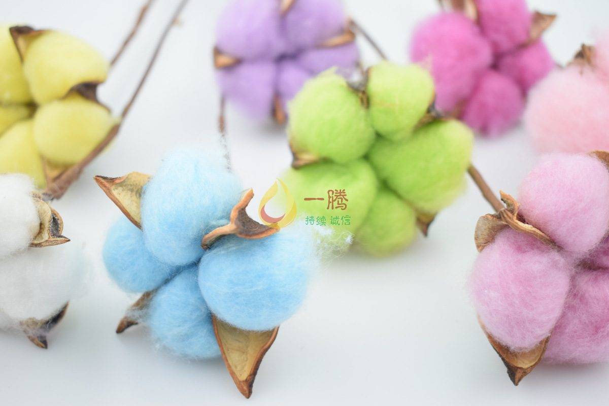 单支仿真彩色棉花干花 乡村风格工艺永生桃棉花束家居摆设木棉花