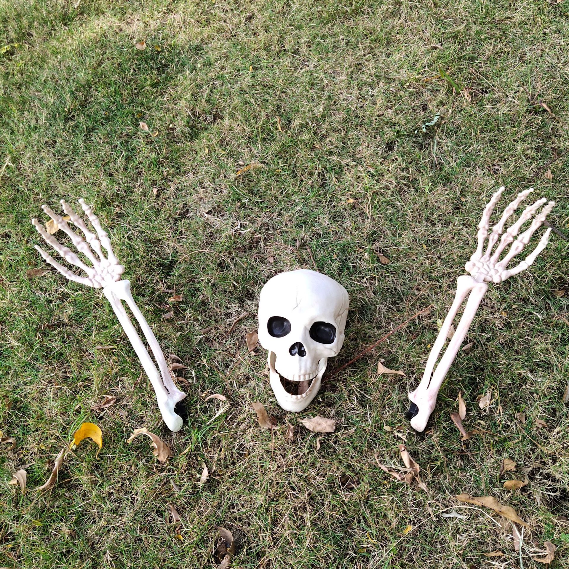 万圣节骷髅骨架 仿真人体塑料骷髅装饰鬼屋密室道具人体骨架装饰