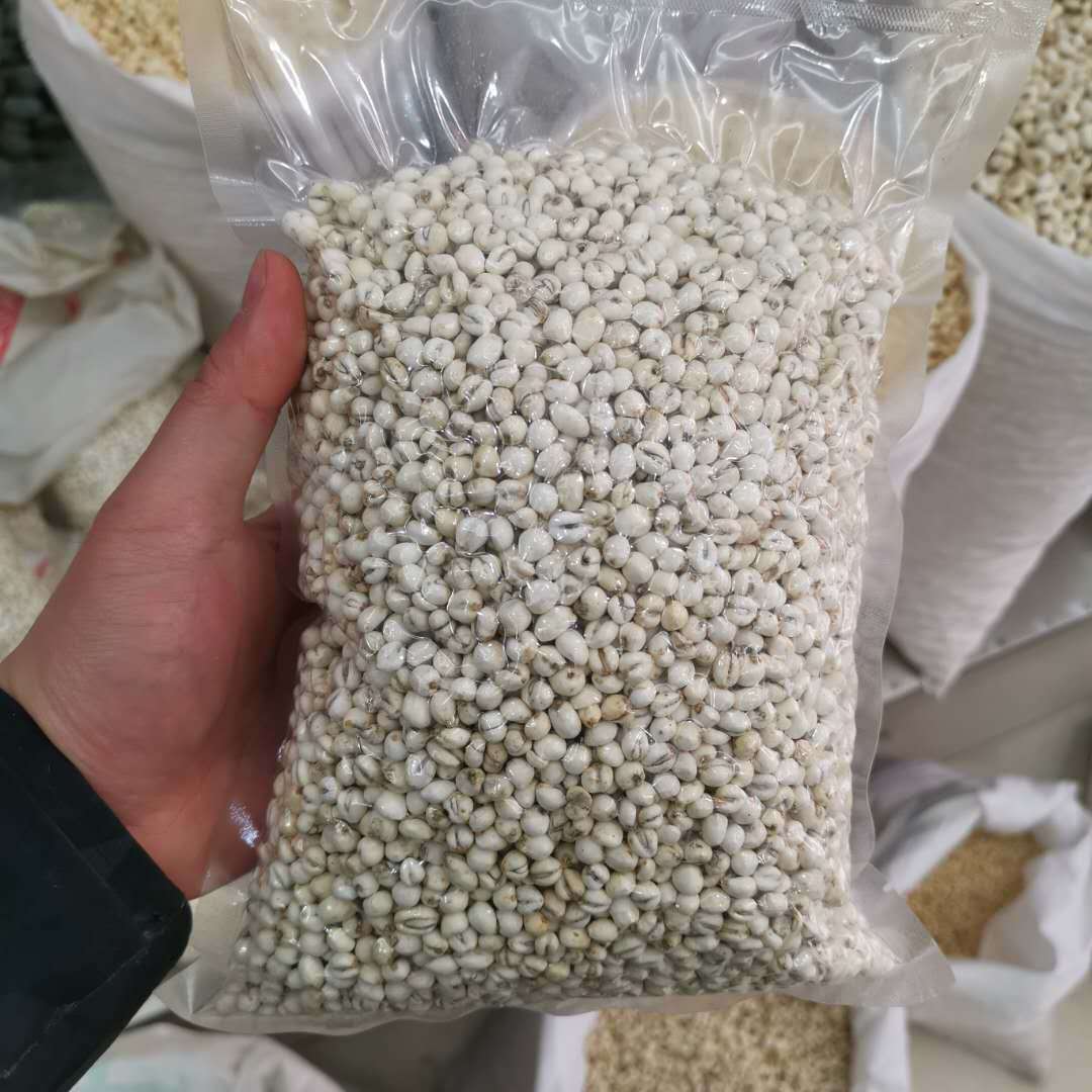 批发平贝母精装贝母质量保证川贝 松贝承接大货量大从优