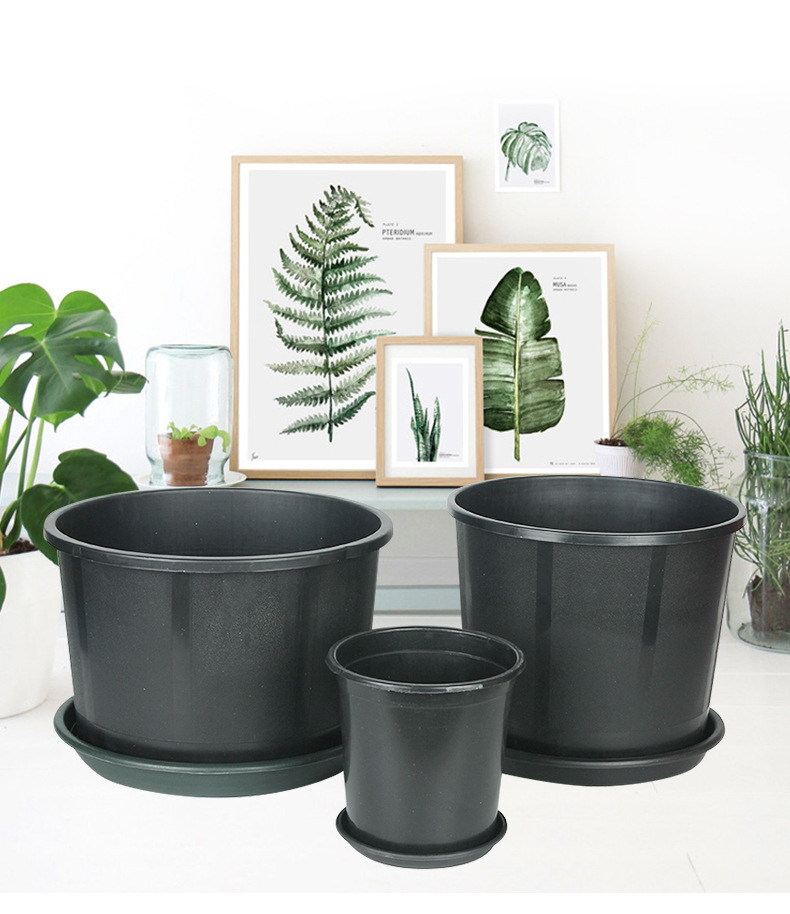 【加仑盆】可定制矮胖控根吹塑黑色花盆 新款加厚小型树脂加仑盆