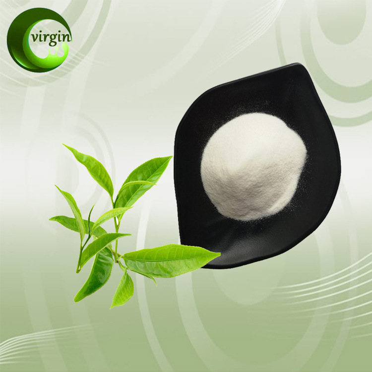 全国包邮绿茶提取物 ec90% 表儿茶素 490-46-0多规格90%-98%可选