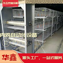 蛋鸡小层叠鸡笼自动化养殖设备 自动化养鸡设备价格低廉节省人工