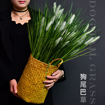 仿真狗尾巴草芦苇假花植物绿植落地塑料装饰花草盆栽橱田园槽单只