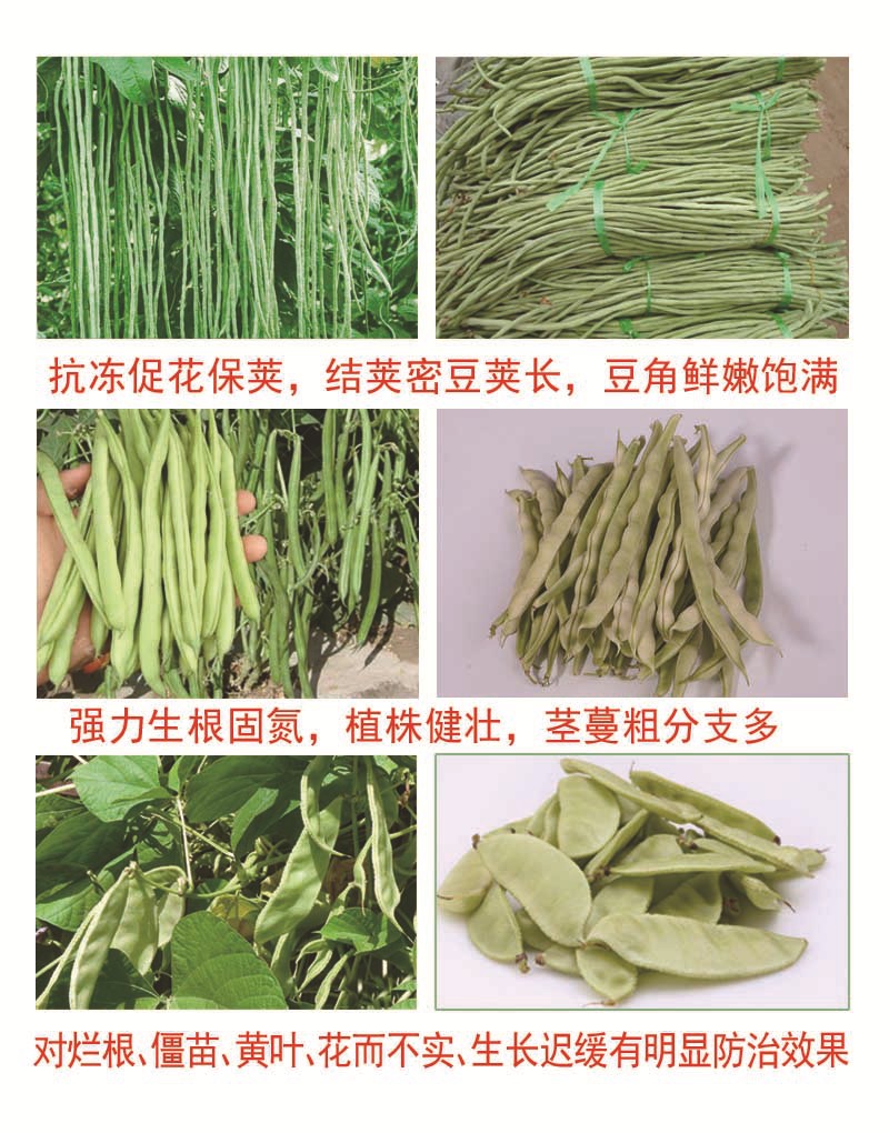 名称 绿k豆角专用 含量≥ 50(%)  水分 ≤ 1(%)  适用范围 各种