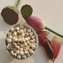 diy编织竹条竹片婚庆造型竹篾条软竹条竹篾丝竹篾子片