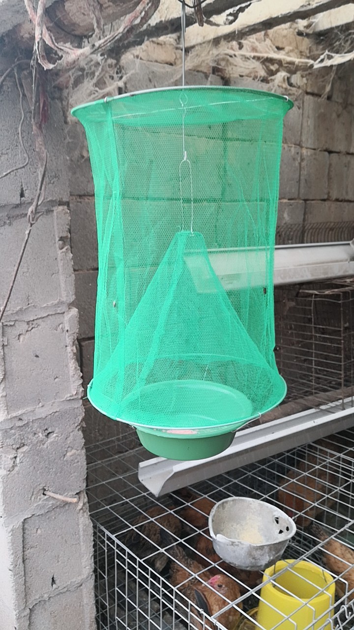 灭蝇笼 捕蝇笼 苍蝇笼 诱蝇笼 绿网苍蝇笼 绿色款苍蝇笼