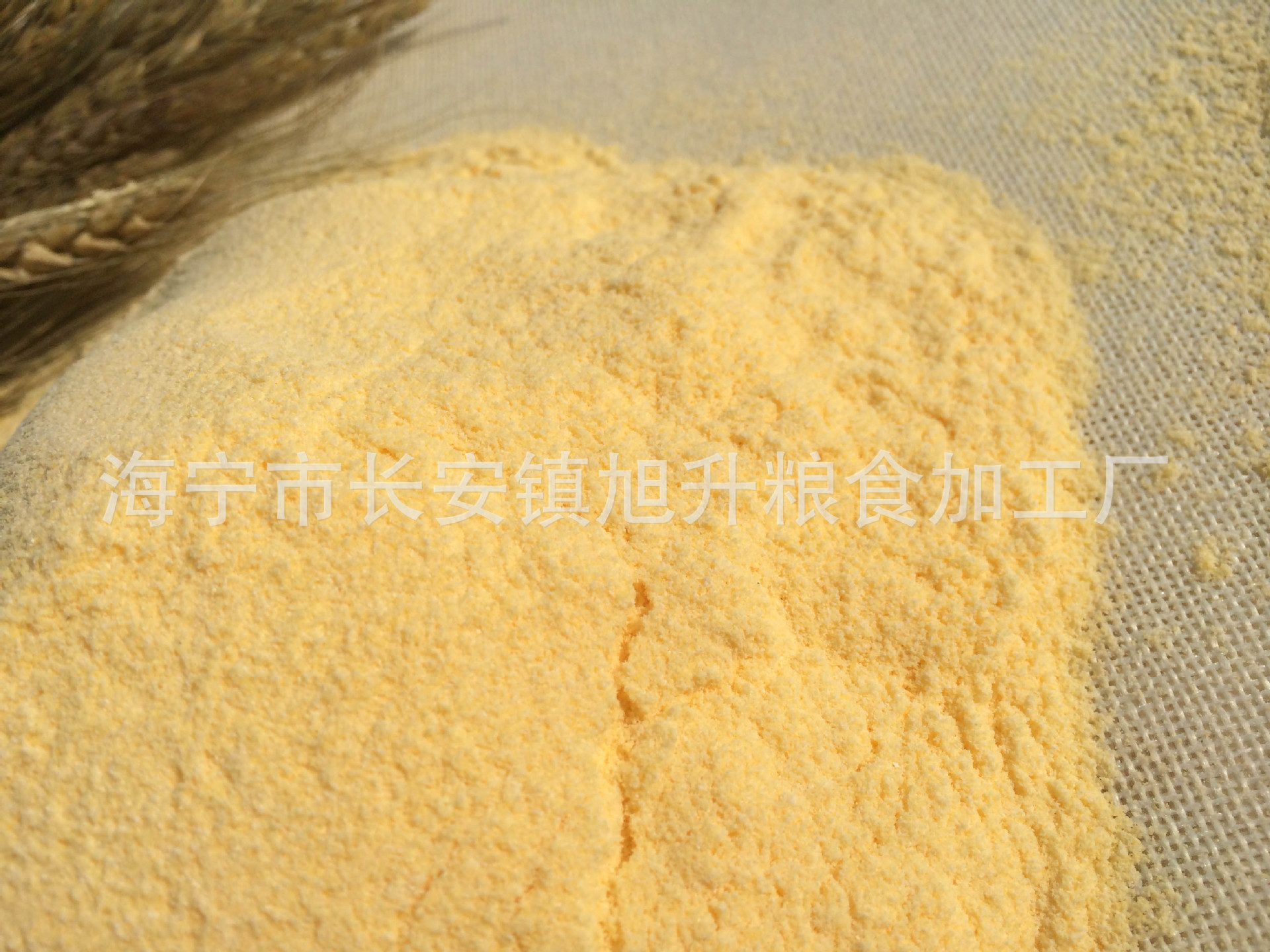 厂家直销批发食品级膨化玉米粉 糕点粉玉米熟粉自制天然宠物粮食