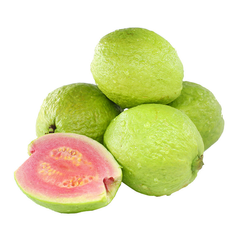 【秒杀】福建红心芭乐水果红肉芭乐软糯香甜台湾红心番石榴代发