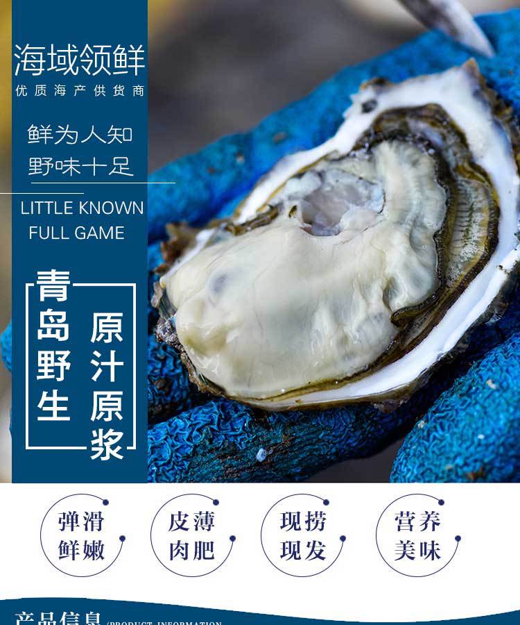 顺丰包邮 鲜活爆浆生蚝5斤 免洗带壳牡蛎海鲜特产海蛎子代发微淘