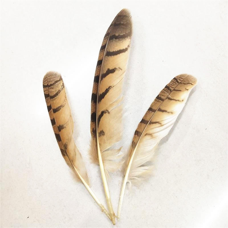 厂家直销 羽毛鹰毛 窝翎 刀翎25-30 30-35公分 价格特优