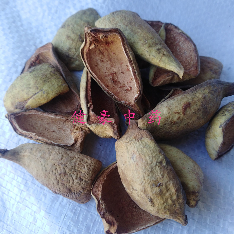 供应中药材木馒头别名木莲 水馒头 鬼馒实物拍照欢迎咨询采购