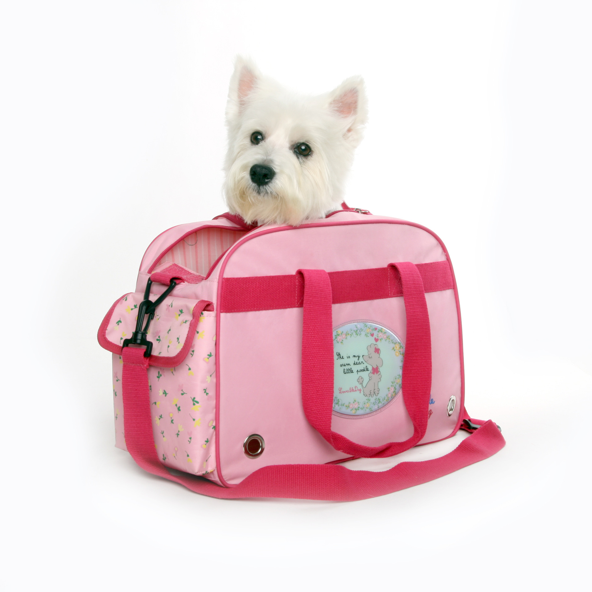 道格芭比少女宠物袋狗狗外出单肩包泰迪比熊小狗幼犬手提跨境批发