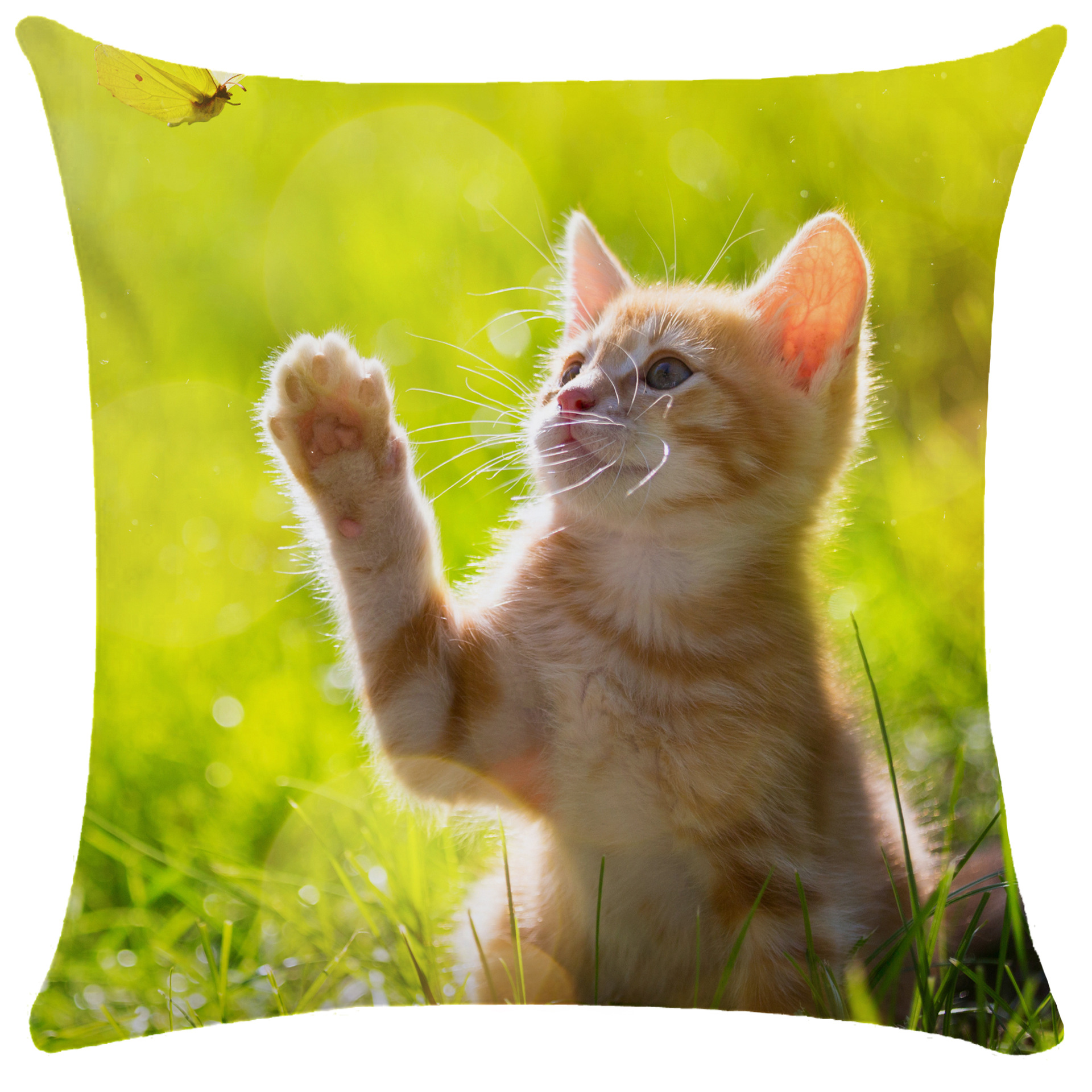 宠物猫枕套超柔呆萌可爱猫咪短毛绒单双面抱枕外贸靠枕跨境爆款