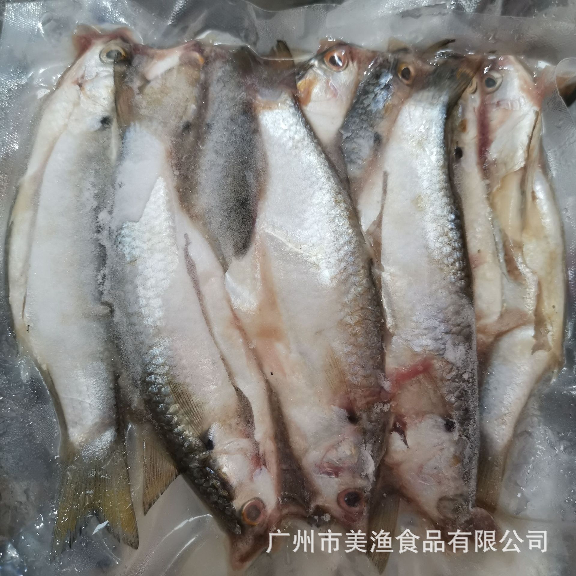 冷冻海鲮鱼 三区小海鱼 软骨鱼海陵小鱼约10条/包 400g*25包/件