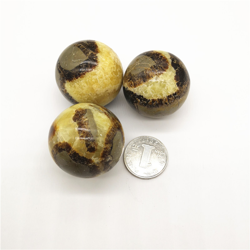 天然龟背石球原石风水摆件手把玩化石矿石鱼缸造景矿物标本水晶球