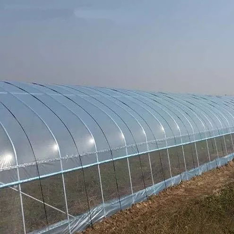 双防无滴膜塑料薄膜大棚膜 大棚塑料薄膜无滴温室农用膜 工厂批发