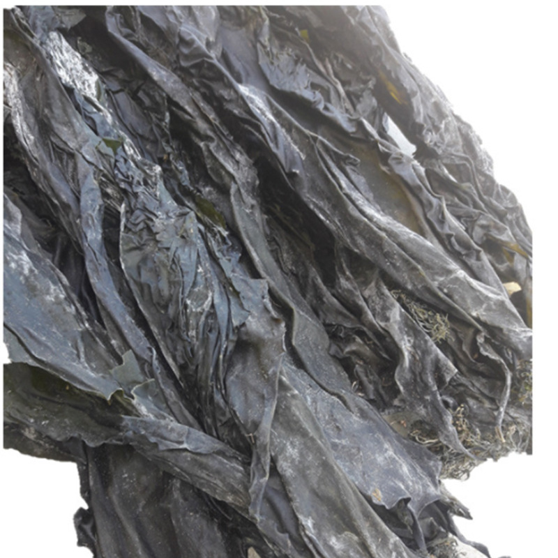 厂家直销 荣成特产淡干海带 野生天然新鲜批发海带丝 量大价优