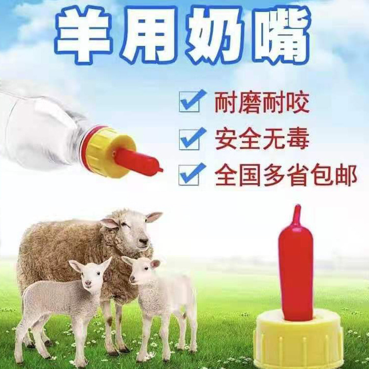 奶嘴养羊设备喂羊食槽畜牧喂羔羊槽子小羊羔补料料槽小羊底羊槽喂羊