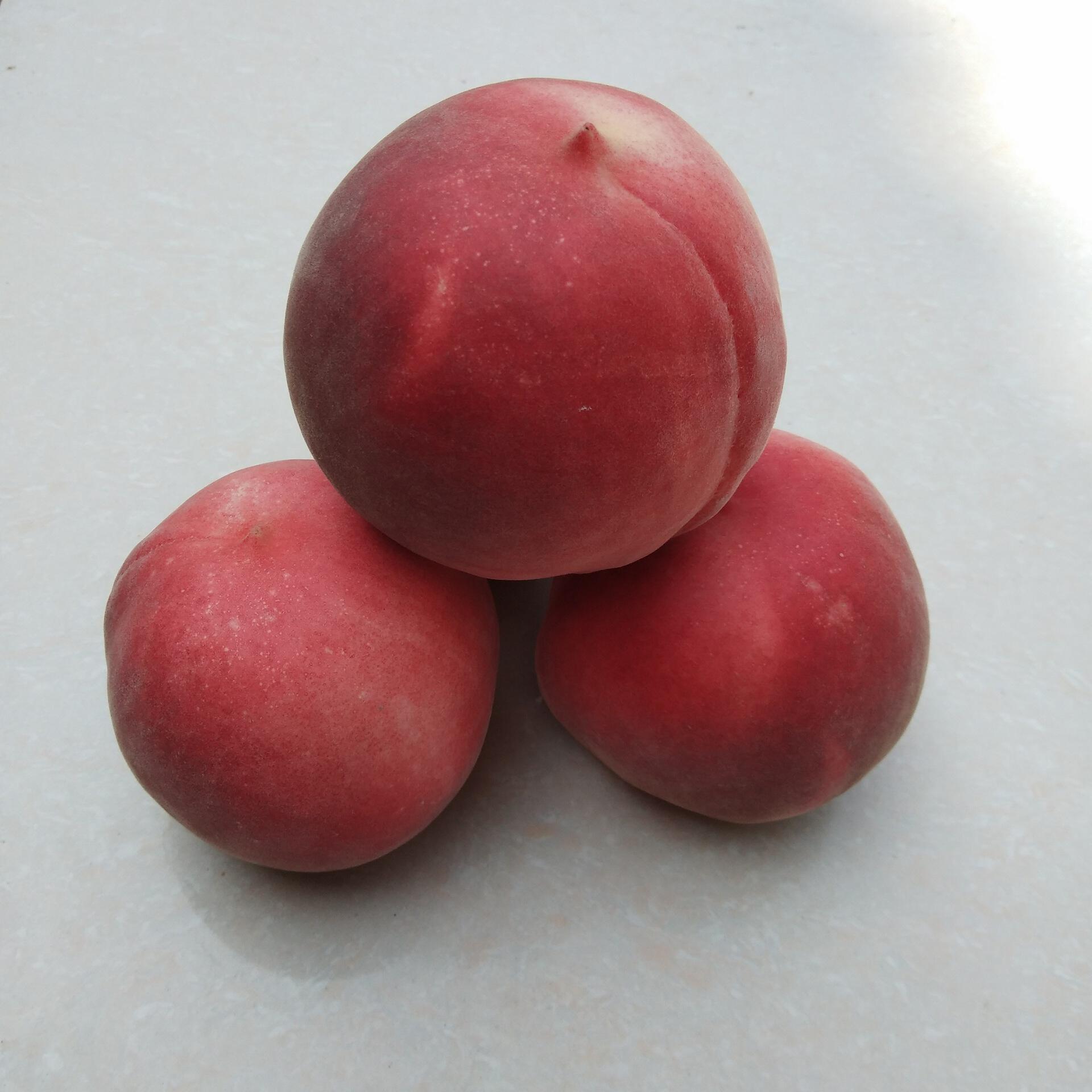 桃子 冬雪红密 迎霜红 脆甜 孕妇· 儿童 老人 皮薄 织女缘品牌