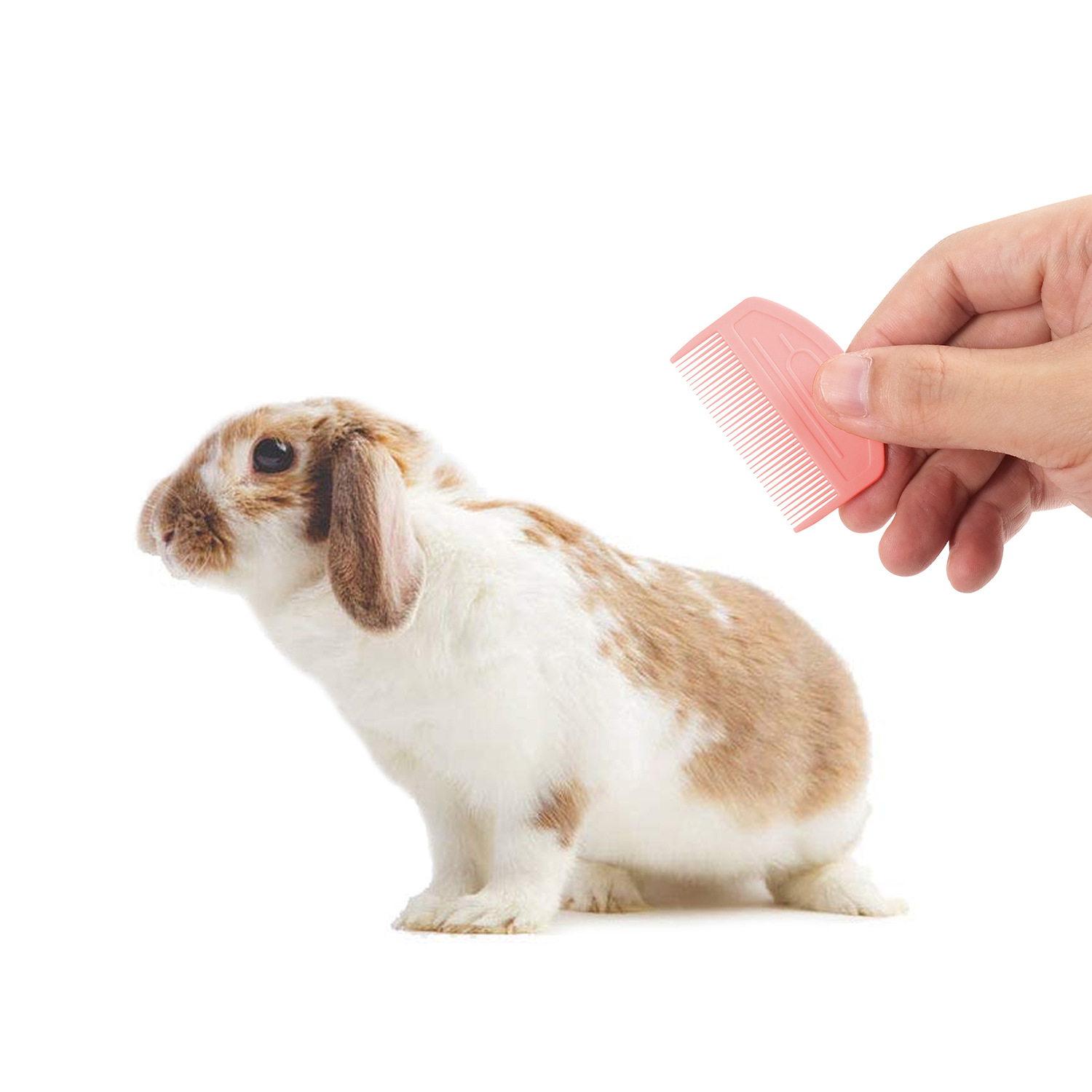 猫狗通用多功能宠物硅胶祛毛按摩梳洗澡刷去毛刷猫咪用品猫梳子