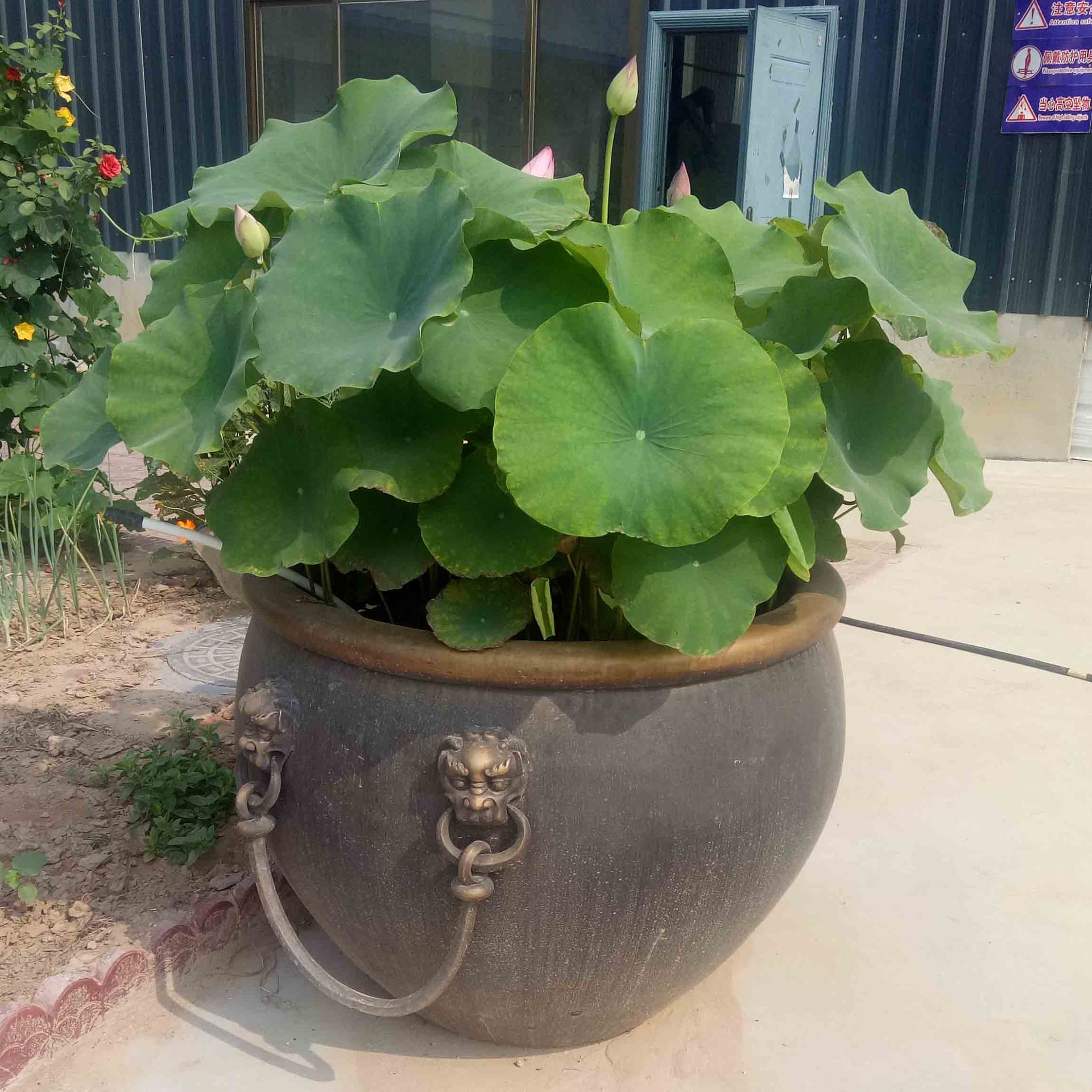 铜大缸工艺品古建庭院荷花缸欧式流水景观铜大盆铜大碗厂家定制