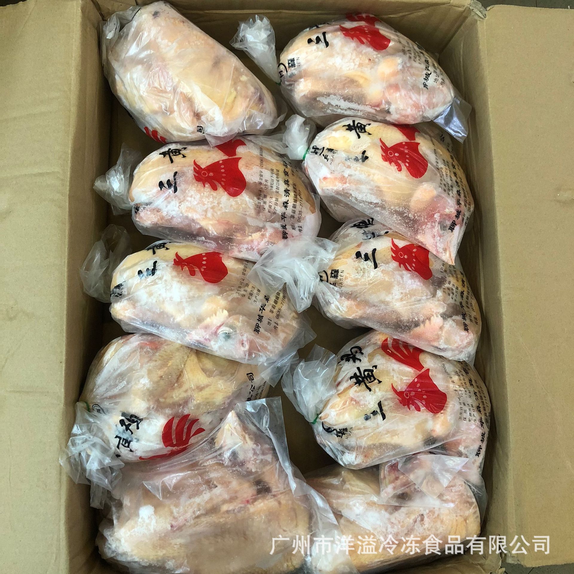 三黄鸡 冷冻 西装鸡 新鲜土鸡 炸春鸡 烤鸡 白条鸡 光鸡 广州批发