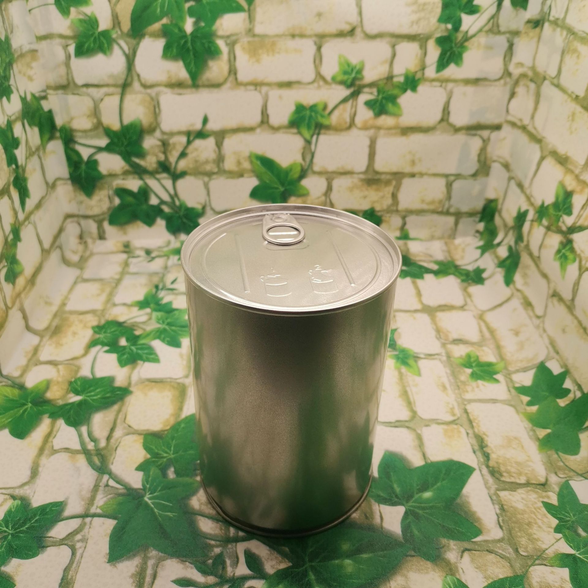 源头厂家生产包装 磨砂铁食品铁罐  拍底式易拉罐  批发零售