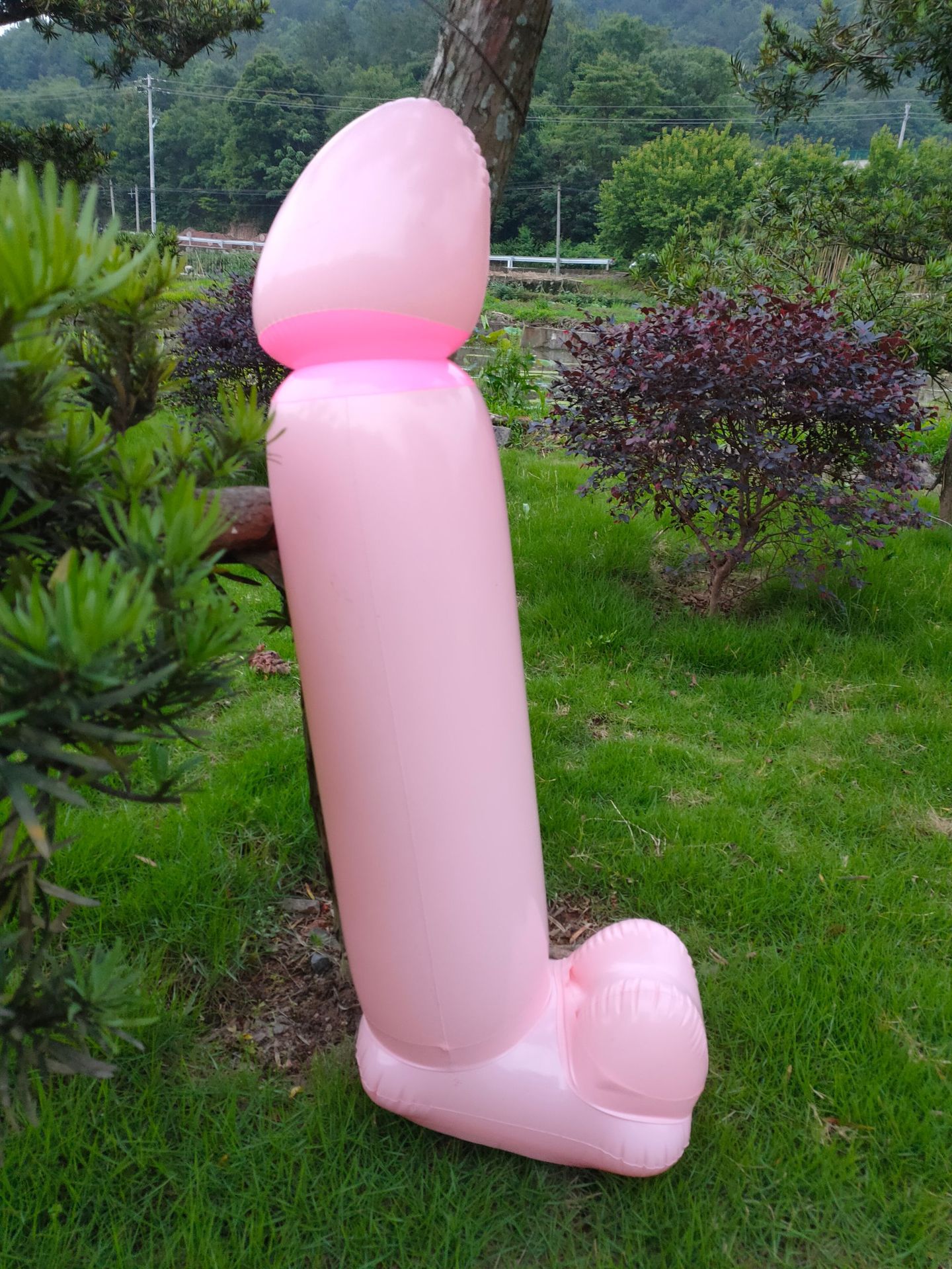 情趣趣味玩具气球 pvc成人玩具 单身派对搞怪阳具 仿真整蛊气球