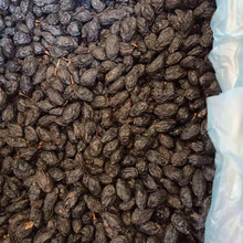 直销新疆特产 黑加仑葡萄干500g袋装 散装黑加仑葡萄干  一件代发