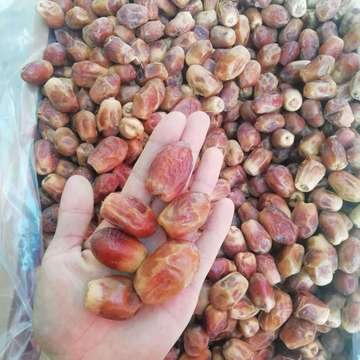 批发伊拉克椰枣 天然伊朗黄金蜜枣 休闲食品蜜饯黄椰枣500g包邮