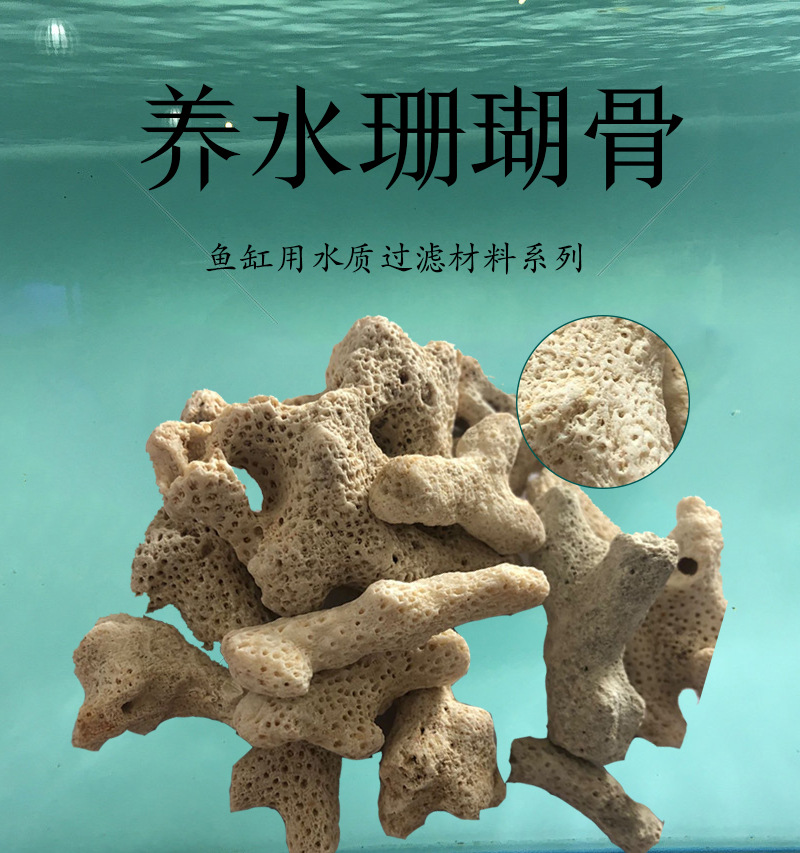 鱼缸珊瑚骨 水族过滤造景材料珊瑚石 多孔 改善水质平衡材料