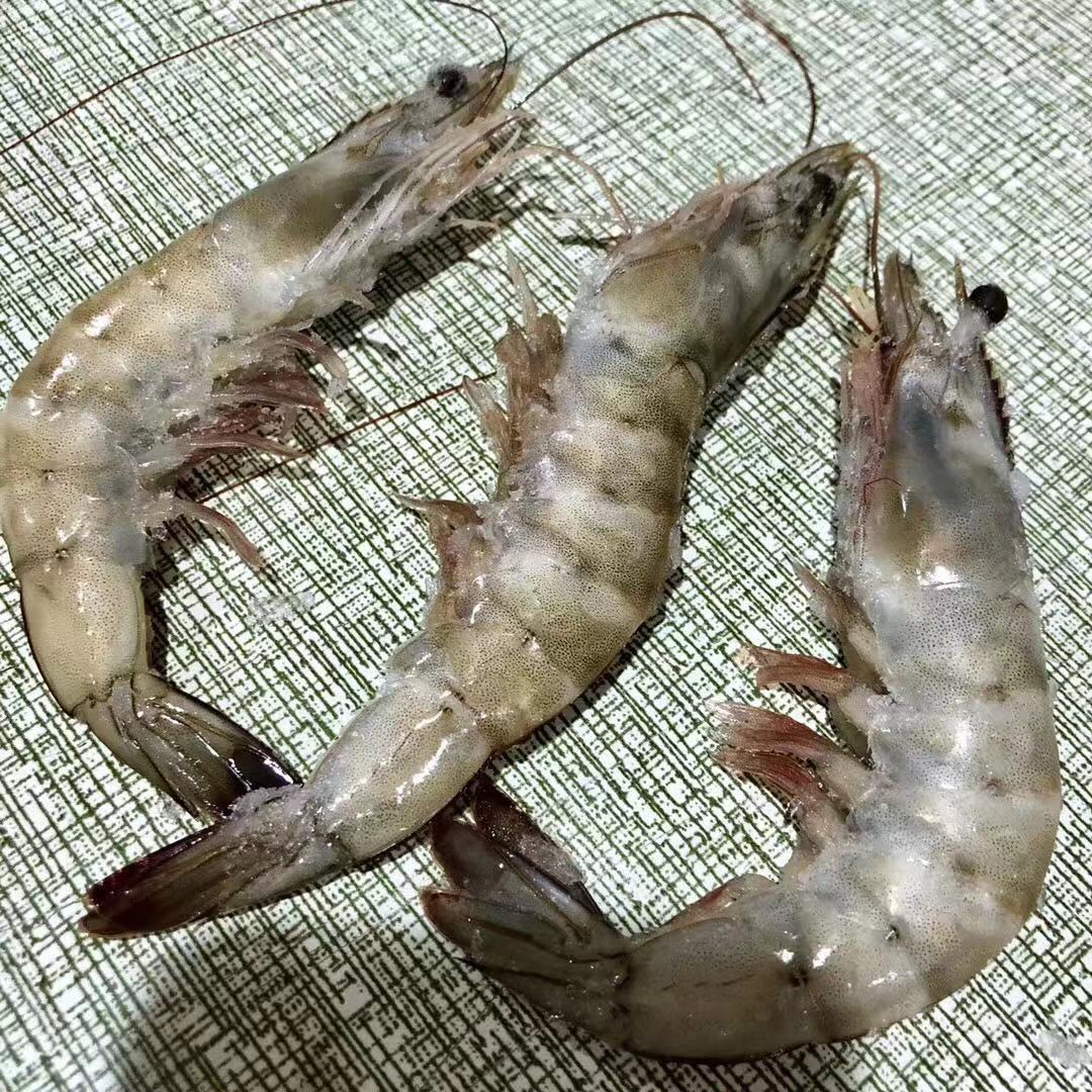 顺丰包邮 高品质肥美海鲜 青岛海捕大虾 大对虾 新鲜4斤包邮