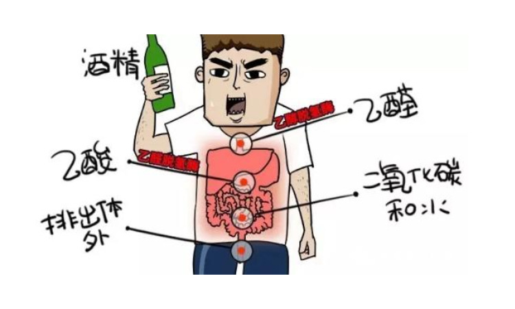 一沾酒就脸红有什么危害?