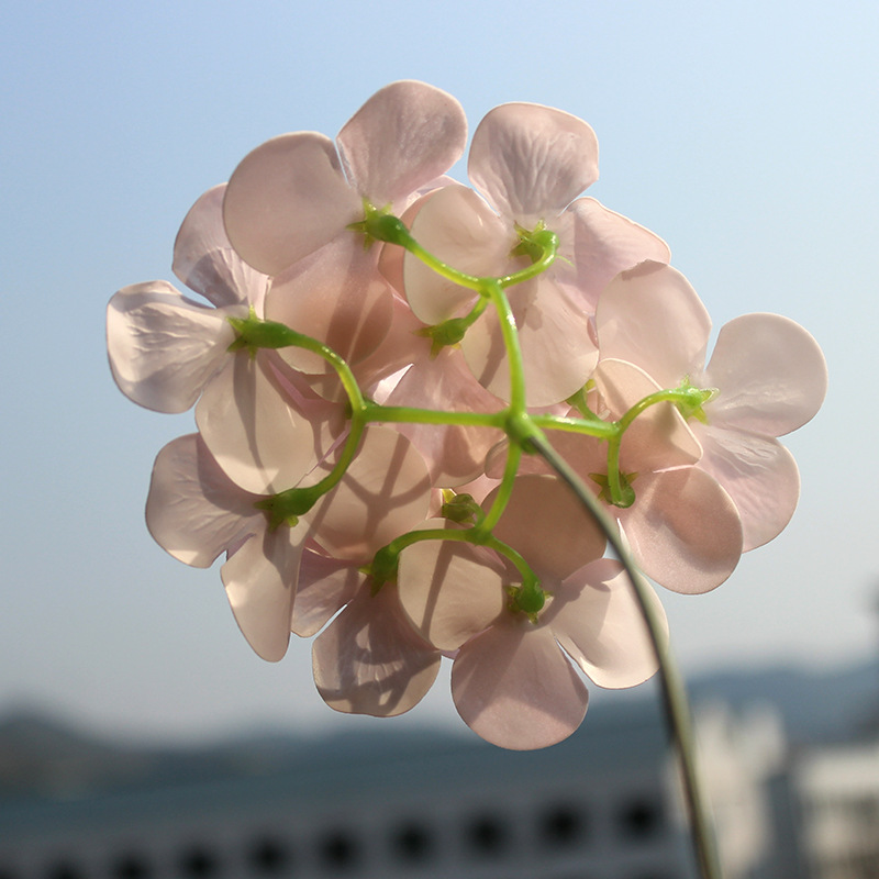 12 Fork Hydrangea Artificial Flowers Soap Flower Head Wholesale Simulation Hydrangea Hand Gift Christmas Gift Box Flower Delivery Big Leaf Hydrangea