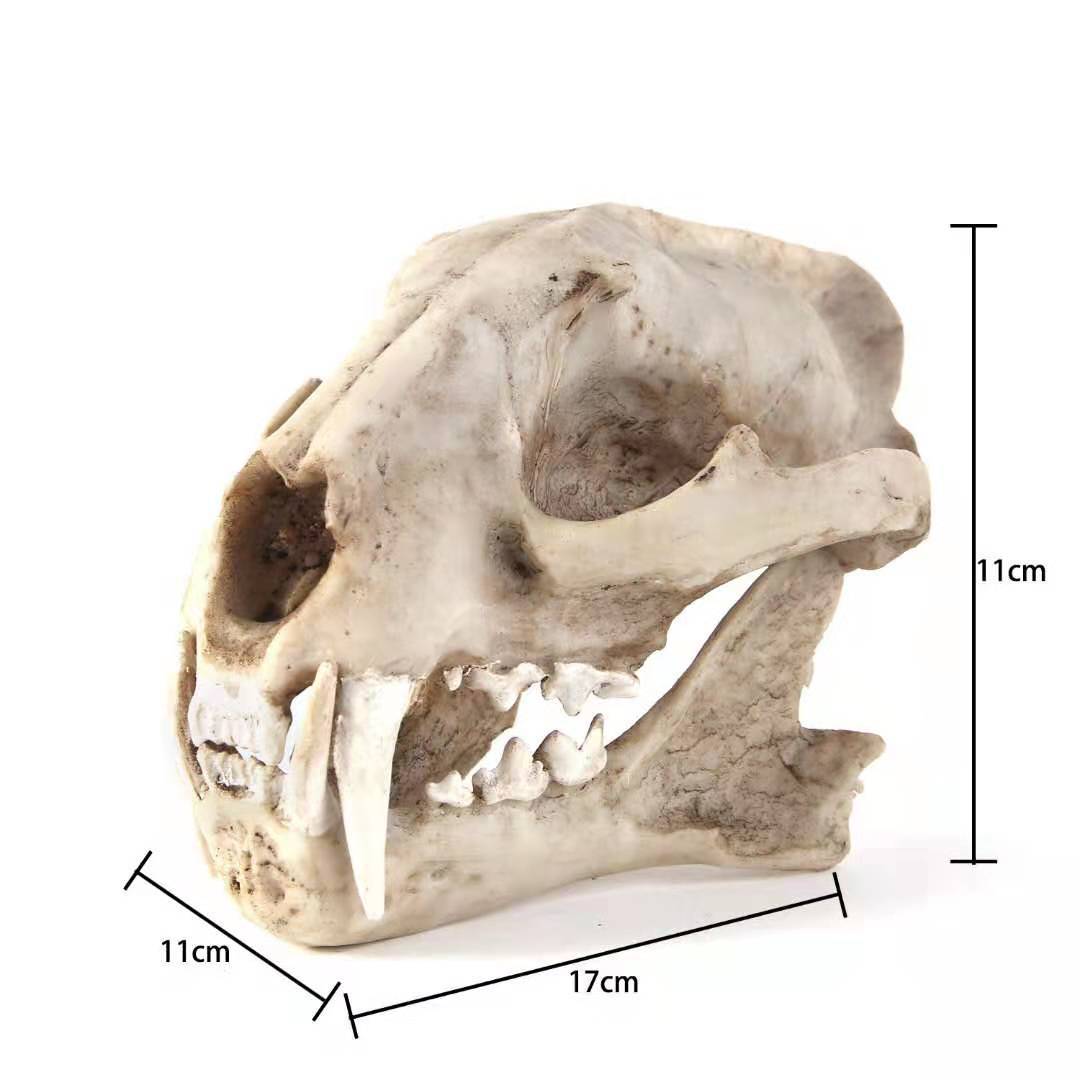 云豹头骨树脂工艺品骷髅头道具外贸货源摆件树脂骷髅头厂家批发