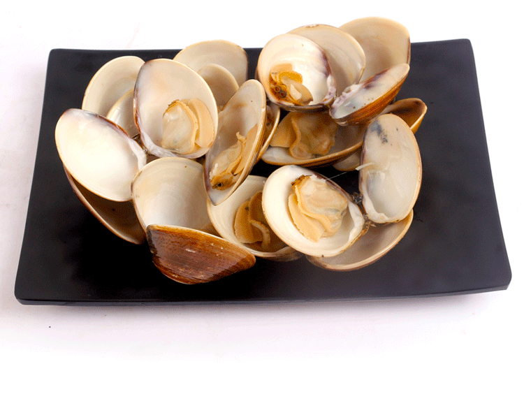 当天现挖新鲜到家小文蛤蜊海鲜水产鲜活海蛤蜊小文蛤贝类 黄蛤蜊